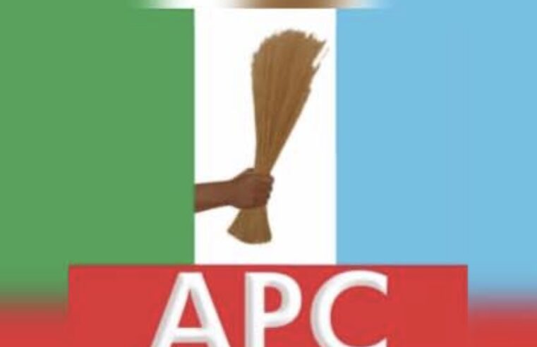 Conflicting APC Edo South Primary Results Stir Confusion as Parallel Panels Declare Ogbeide-Ihama, Ize-Iyamu Winners
