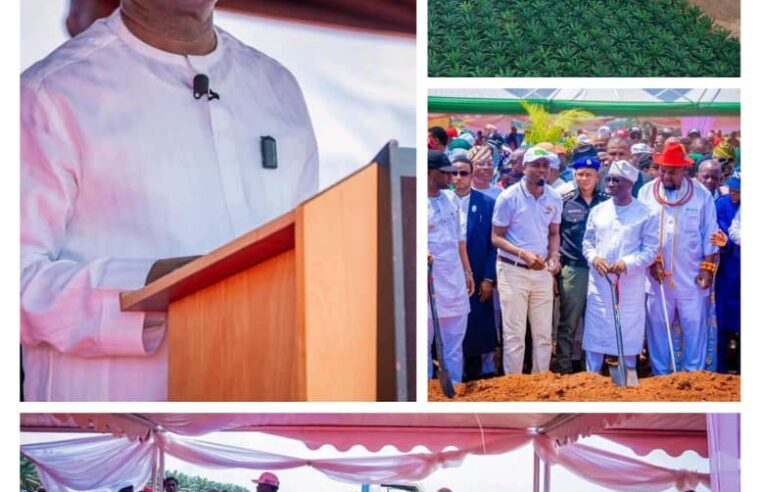 How Governor Okpebholo is Driving Edo’s Emerging Energy Revolution