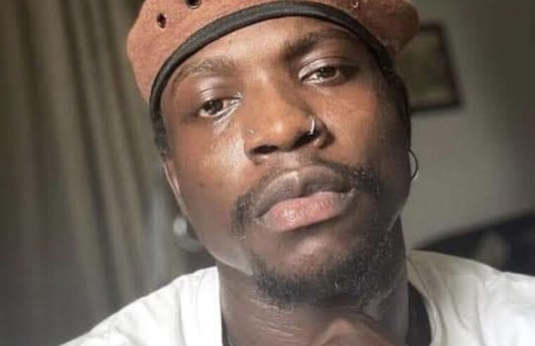 VeryDarkMan Returns to Nigeria, Sparks Fresh Wave of Activism
