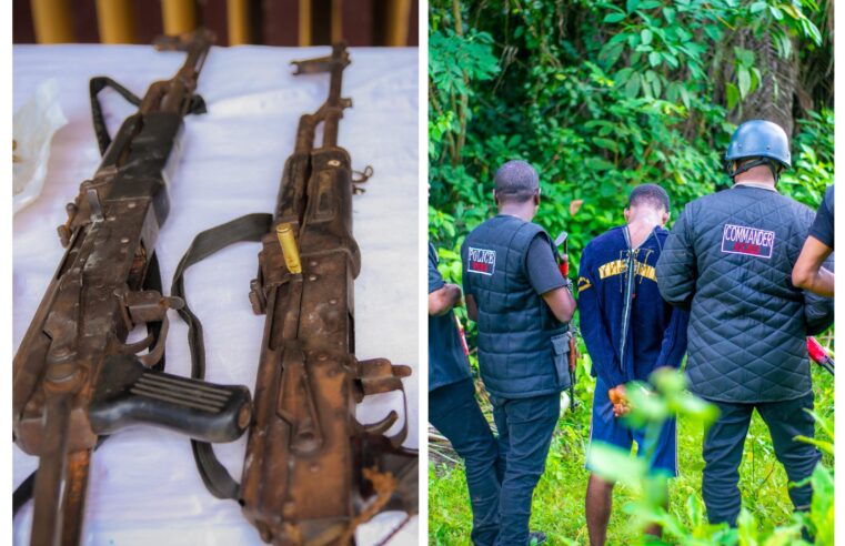 Edo’s Anti-Crime Offensive: Assessing the Impact of the Special Security Squad