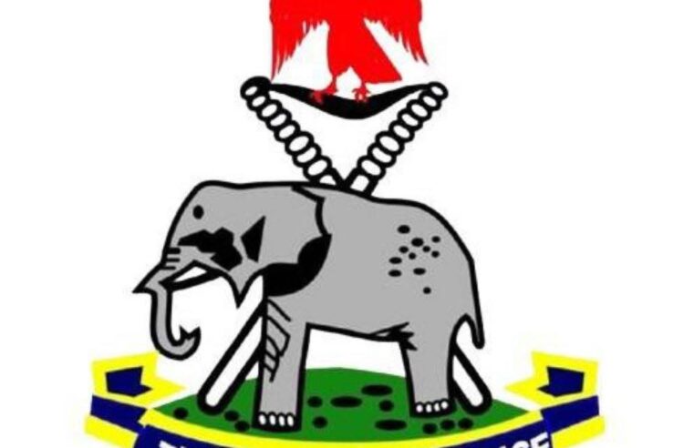 Edo Police Announce Movement Restriction Ahead of July 11 LG Elections