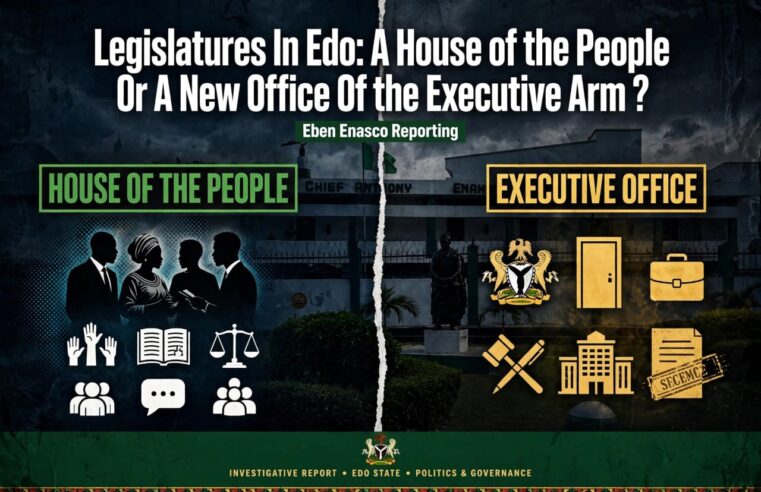 Legislatures In Edo: A House of the People Or A New Office Of the Executive Arm ?